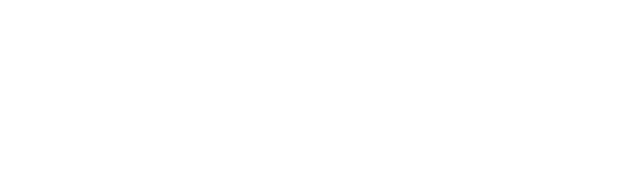logo Konexmedik